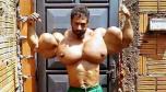 synthol.jpg