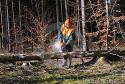 cutting-tree-pieces-woodcutter-24065645.jpg