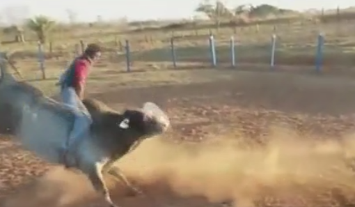 fireshot-capture-63-cowboy-dies-with-http-theync.com-cowboy-dies-with-a-kick-in-the-head.htm.png