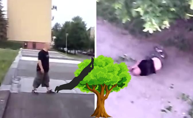 100.jpg