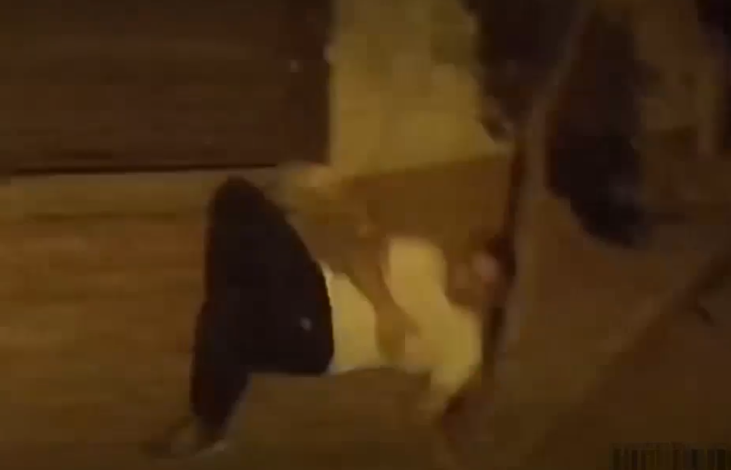 stazeny-soubor-1.png