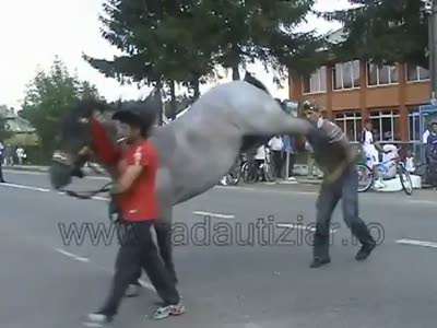 horse-accident.jpg