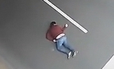 1556156.jpg
