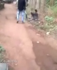 kompillll.jpg