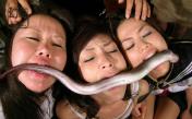 04-asian-girls-eel-fetish.jpg
