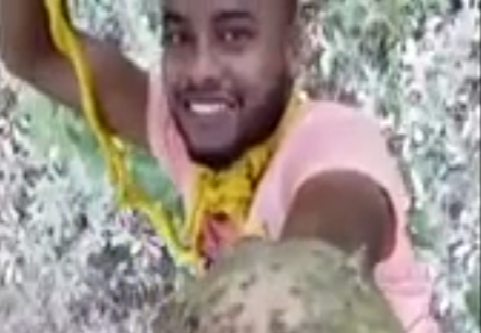 usmev.png