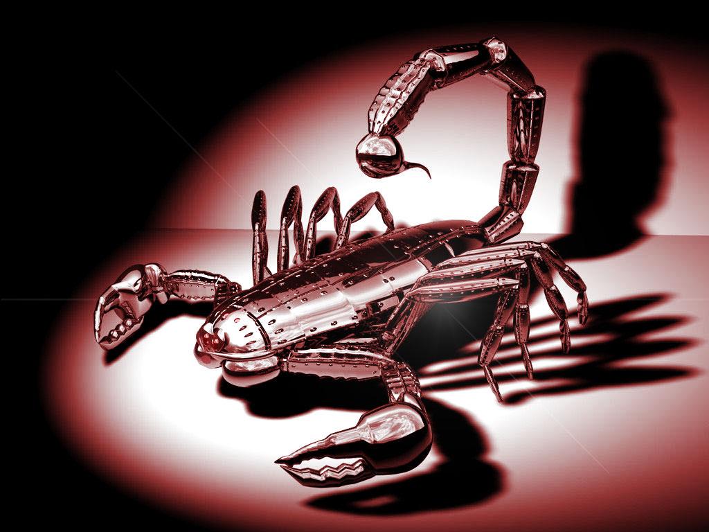 cierny-skorpion.jpg