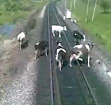 12047-drunk-russian-train-engineers.jpg