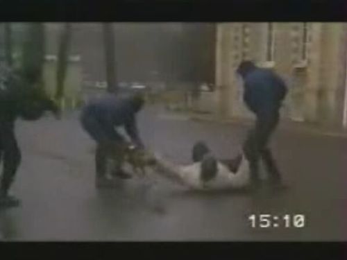 03-police-dogs.jpg