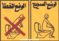 wc-how-to-pro-araby.jpg