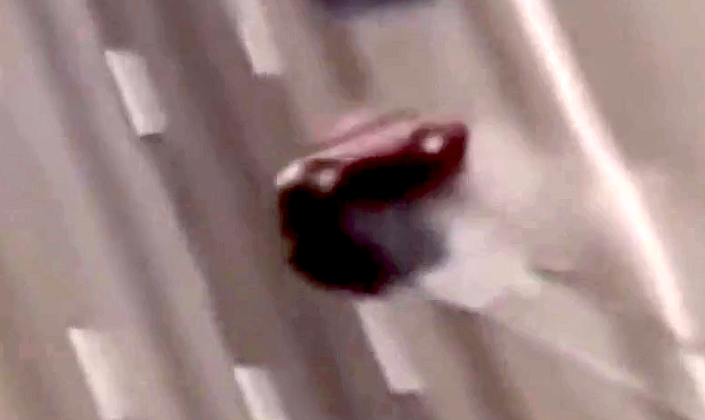 03.png