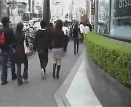 nogki.jpg