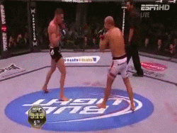 ufc1072.gif