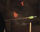 arrow-splitting-a-water-balloon-2.jpg