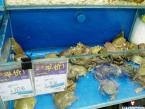 what-chinese-walmarts-640-05-thumb.jpg