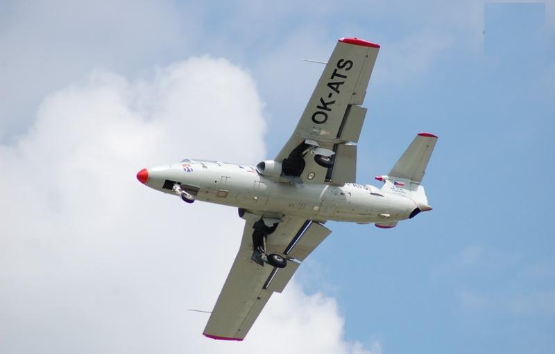 l29-delfin.jpg